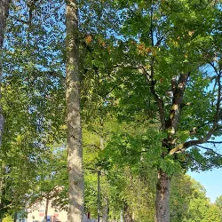 Viljandi Adventure Park - Viljandi