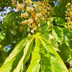 Viljandi Adventure Park - Viljandi