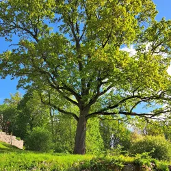 Viljandi Adventure Park - Viljandi