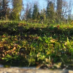 Viljandi Cemetery Chapel - Viljandi