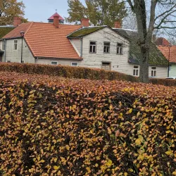 Viljandi Cultural Center - Viljandi