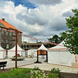 Viljandi Folk Music Festival - Viljandi