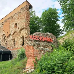 Viljandi Folk Music Festival - Viljandi