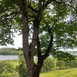 Viljandi Nature Trails - Viljandi