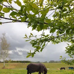 Viljandi Nature Trails - Viljandi