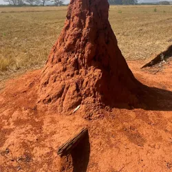 Mlilwane Wildlife Sanctuary - Mbabane