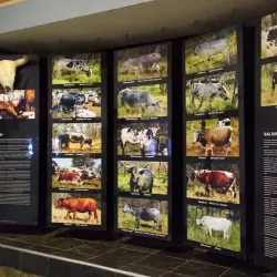 National Museum of Eswatini - Mbabane