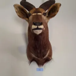 National Museum of Eswatini - Mbabane