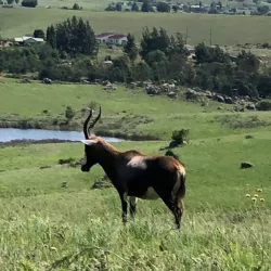 Malolotja Nature Reserve - Piggs Peak