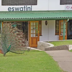 Ngwenya Glass Factory - Piggs Peak