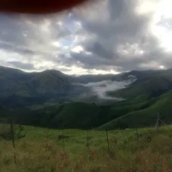 Piggs Peak Nature Reserve - Piggs Peak