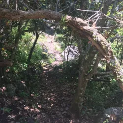 Sheba's Breasts - Piggs Peak