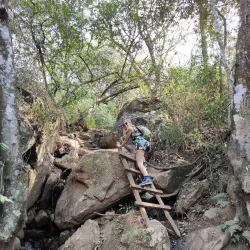 Sheba's Breasts - Piggs Peak