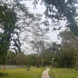 An image showcasing the beauty of Simunye