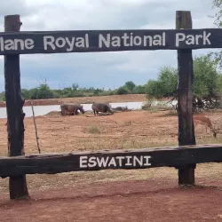 Hlane Royal National Park - Simunye