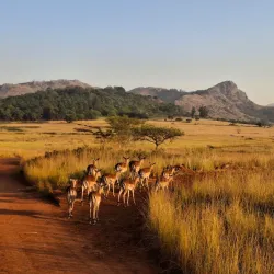 Mlilwane Wildlife Sanctuary - Simunye