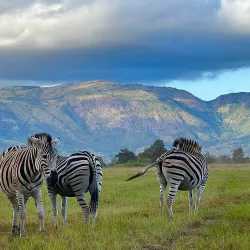 Mlilwane Wildlife Sanctuary - Simunye