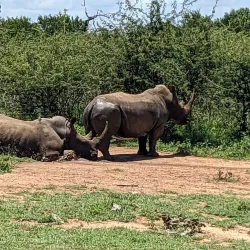 Hlane Royal National Park - Siteki