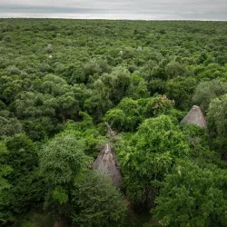 Mkhaya Game Reserve - Siteki