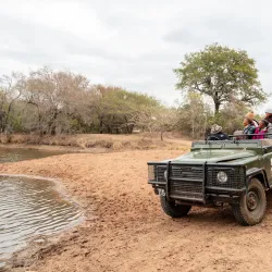 Mkhaya Game Reserve - Siteki