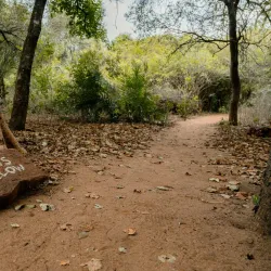 Mkhaya Game Reserve - Siteki