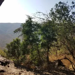 Mlawula Nature Reserve - Siteki