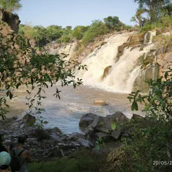 Awash National Park (nearby) - Adama (Nazret