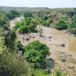 Awash National Park (nearby) - Adama (Nazret