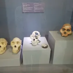 Addis Ababa Museum - Addis Ababa