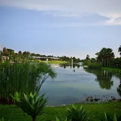 Friendship Park - Addis Ababa