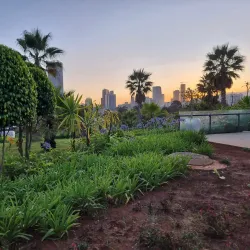 Friendship Park - Addis Ababa