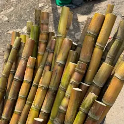 Merkato Market - Addis Ababa