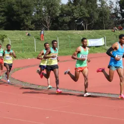 Assela Stadium - Assela (Asela)