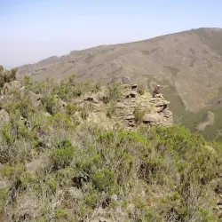 Mount Chilalo - Assela (Asela)