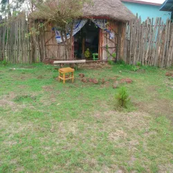 Tiya Archaeological Site (nearby) - Assela (Asela)