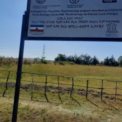 Tiya Archaeological Site (nearby) - Assela (Asela)