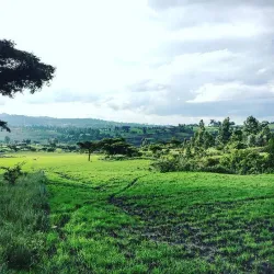 Tiya Archaeological Site (nearby) - Assela (Asela)