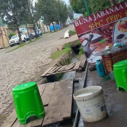 Traditional Oromo Villages - Assela (Asela)