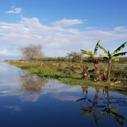 Hot Springs near Batu - Batu (Ziway