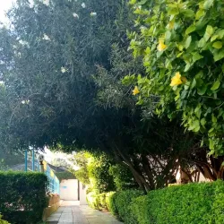 Hot Springs near Batu - Batu (Ziway