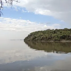 Nearby Rift Valley Lakes Exploration - Batu (Ziway