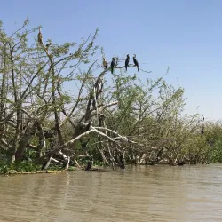 Nearby Rift Valley Lakes Exploration - Batu (Ziway