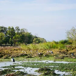Nearby Rift Valley Lakes Exploration - Batu (Ziway
