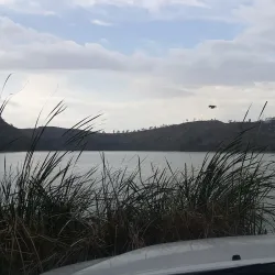 Lake Hora - Bishoftu (Debre Zeit)