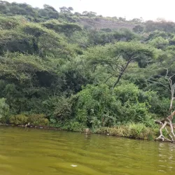 Lake Hora - Bishoftu (Debre Zeit)