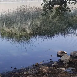 Lake Hora - Bishoftu (Debre Zeit)