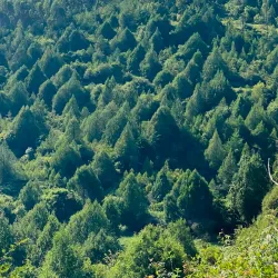 Mount Yerer - Bishoftu (Debre Zeit)