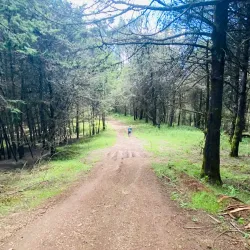Mount Yerer - Bishoftu (Debre Zeit)
