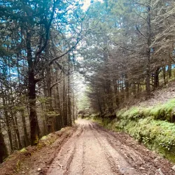 Mount Yerer - Bishoftu (Debre Zeit)