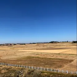Debre Birhan Market - Debre Birhan
